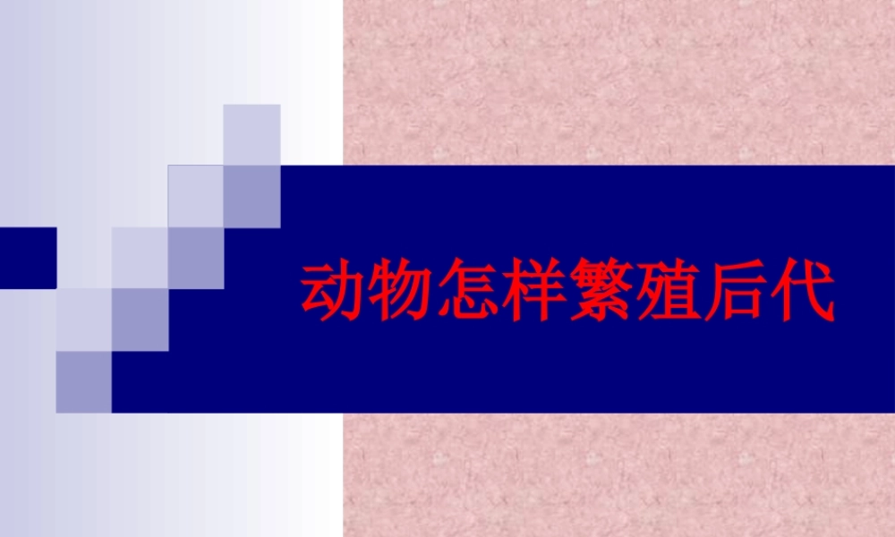 苏教小学科学五下《3.2．动物怎样繁殖后代》PPT课件(7)【加微信公众号 jiaoxuewuyou 九折优惠qq 1119139686】.ppt