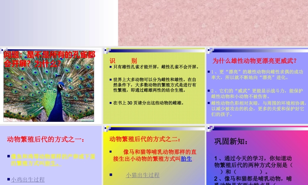 苏教小学科学五下《3.2．动物怎样繁殖后代》PPT课件(7)【加微信公众号 jiaoxuewuyou 九折优惠qq 1119139686】.ppt