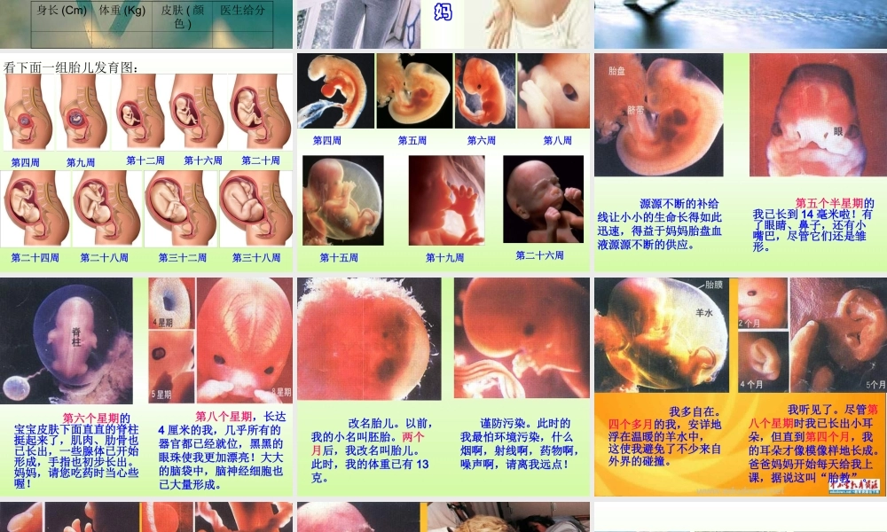 苏教小学科学五下《3.3．我是怎样出生的》PPT课件(1)【加微信公众号 jiaoxuewuyou 九折优惠qq 1119139686】.ppt