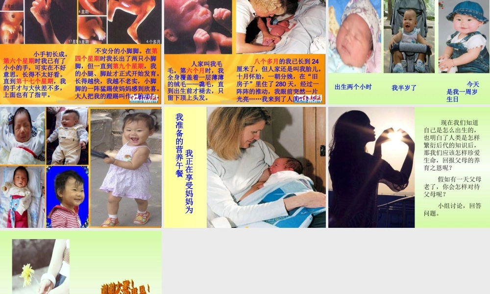 苏教小学科学五下《3.3．我是怎样出生的》PPT课件(1)【加微信公众号 jiaoxuewuyou 九折优惠qq 1119139686】.ppt