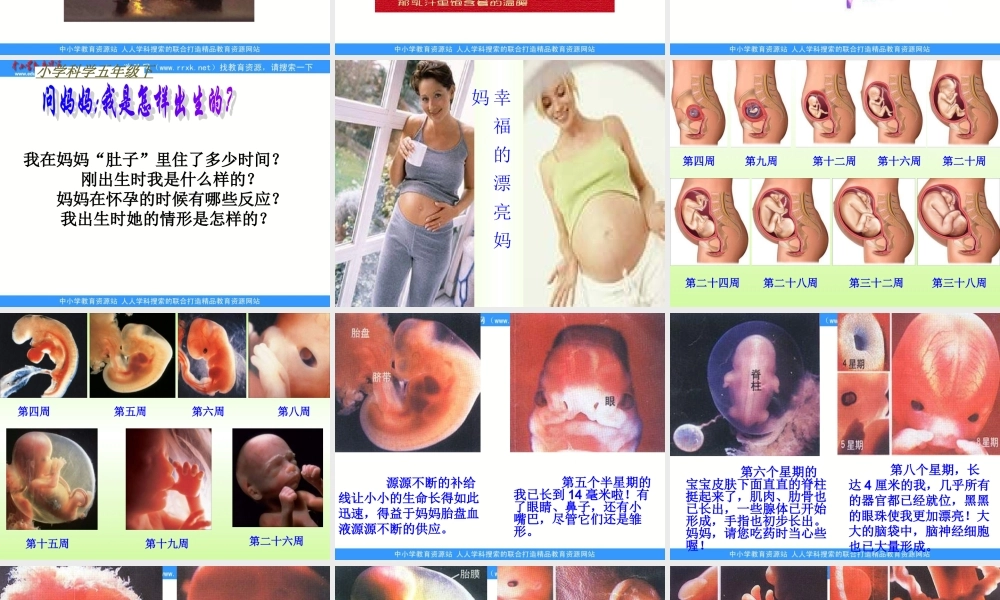 苏教小学科学五下《3.3．我是怎样出生的》PPT课件(2)【加微信公众号 jiaoxuewuyou 九折优惠qq 1119139686】.ppt