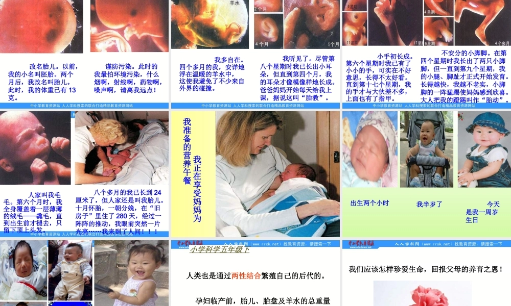 苏教小学科学五下《3.3．我是怎样出生的》PPT课件(2)【加微信公众号 jiaoxuewuyou 九折优惠qq 1119139686】.ppt