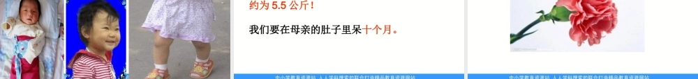 苏教小学科学五下《3.3．我是怎样出生的》PPT课件(2)【加微信公众号 jiaoxuewuyou 九折优惠qq 1119139686】.ppt
