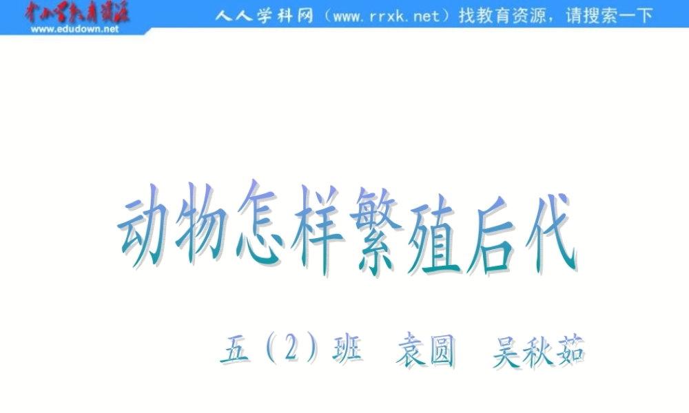 苏教小学科学五下《3.2．动物怎样繁殖后代》PPT课件(12)【加微信公众号 jiaoxuewuyou 九折优惠qq 1119139686】.ppt
