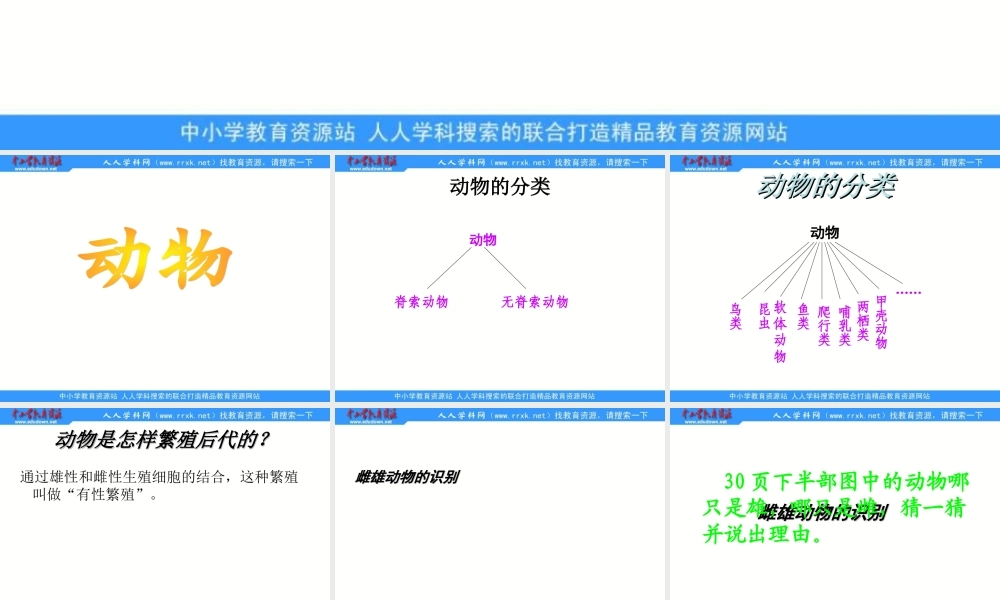 苏教小学科学五下《3.2．动物怎样繁殖后代》PPT课件(12)【加微信公众号 jiaoxuewuyou 九折优惠qq 1119139686】.ppt