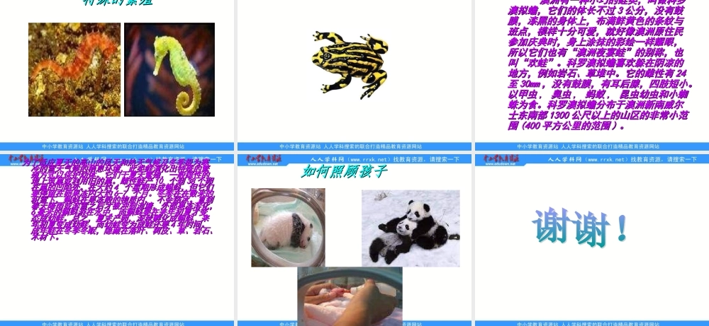 苏教小学科学五下《3.2．动物怎样繁殖后代》PPT课件(12)【加微信公众号 jiaoxuewuyou 九折优惠qq 1119139686】.ppt