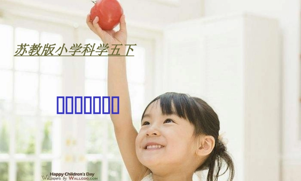 苏教小学科学五下《3.3．我是怎样出生的》PPT课件(3)【加微信公众号 jiaoxuewuyou 九折优惠qq 1119139686】.ppt