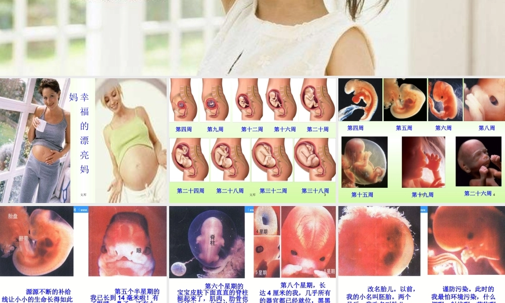 苏教小学科学五下《3.3．我是怎样出生的》PPT课件(3)【加微信公众号 jiaoxuewuyou 九折优惠qq 1119139686】.ppt