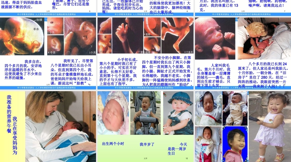 苏教小学科学五下《3.3．我是怎样出生的》PPT课件(3)【加微信公众号 jiaoxuewuyou 九折优惠qq 1119139686】.ppt