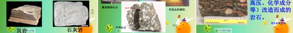 苏教小学科学五下《4.1.认识常见的岩石》PPT课件 (9)【加微信公众号 jiaoxuewuyou 九折优惠qq 1119139686】.ppt