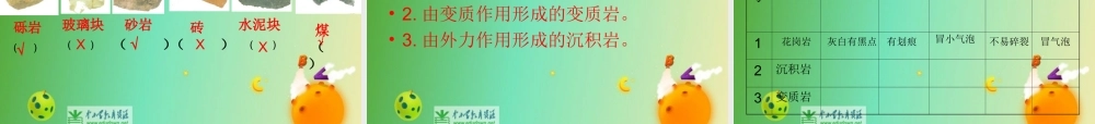 苏教小学科学五下《4.1.认识常见的岩石》PPT课件 (6)【加微信公众号 jiaoxuewuyou 九折优惠qq 1119139686】.ppt