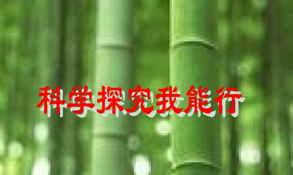 苏教小学科学五下《5.1．大脑》PPT课件(1)【加微信公众号 jiaoxuewuyou 九折优惠qq 1119139686】.ppt