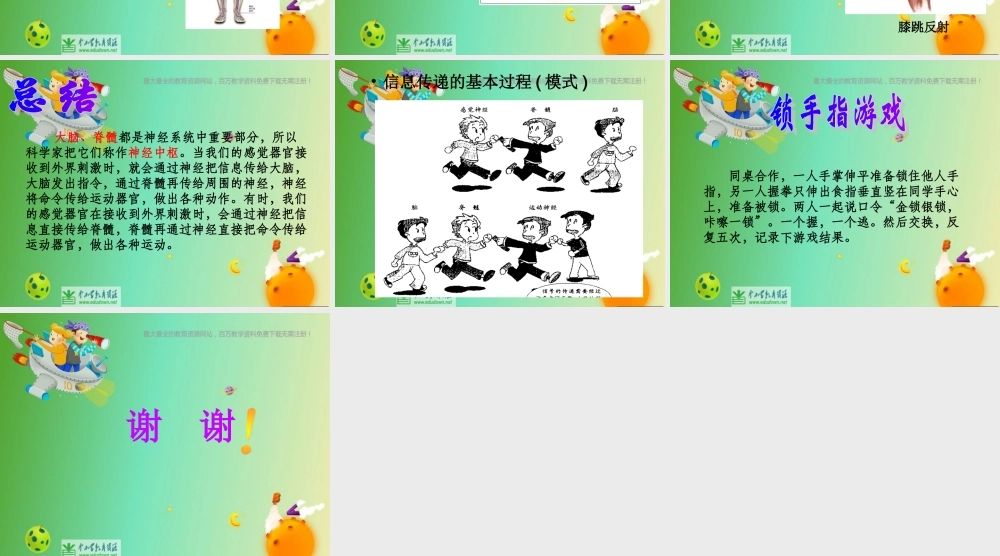 苏教小学科学五下《5.2．神经》PPT课件(1)【加微信公众号 jiaoxuewuyou 九折优惠qq 1119139686】.ppt