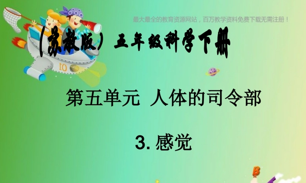 苏教小学科学五下《5.3．感觉》PPT课件(1)【加微信公众号 jiaoxuewuyou 九折优惠qq 1119139686】.ppt