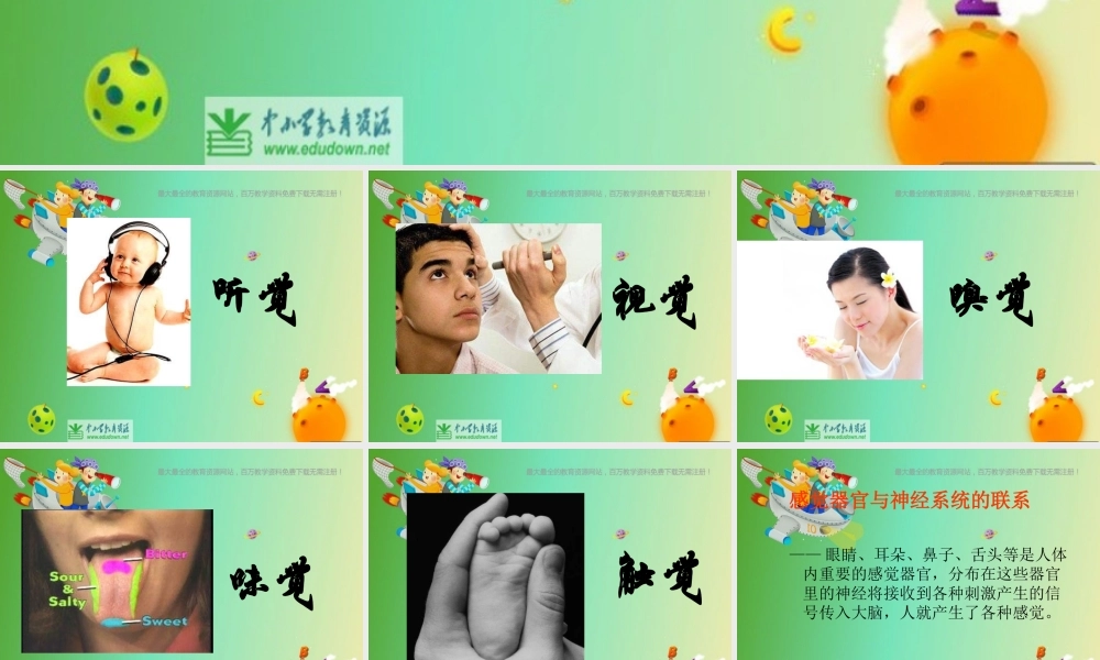 苏教小学科学五下《5.3．感觉》PPT课件(1)【加微信公众号 jiaoxuewuyou 九折优惠qq 1119139686】.ppt