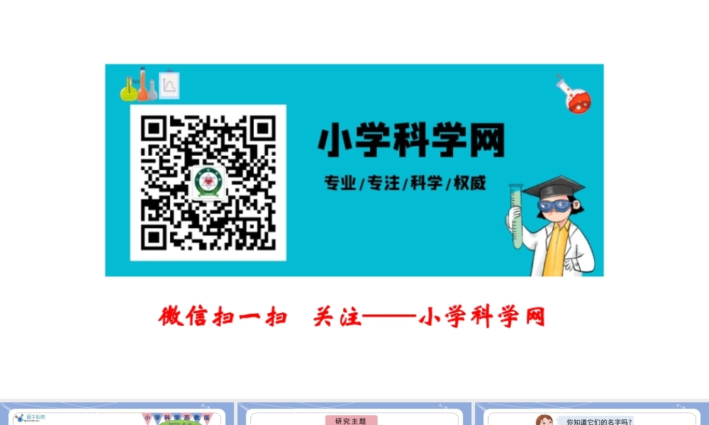 9.庞大的家族（公众号 小学科学网）.pptx