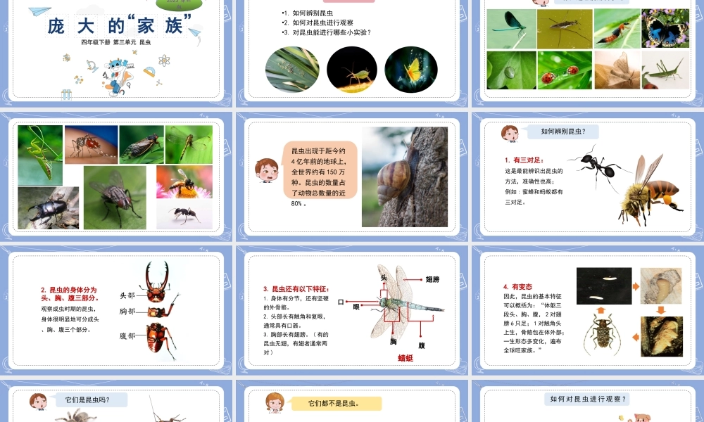 9.庞大的家族（公众号 小学科学网）.pptx