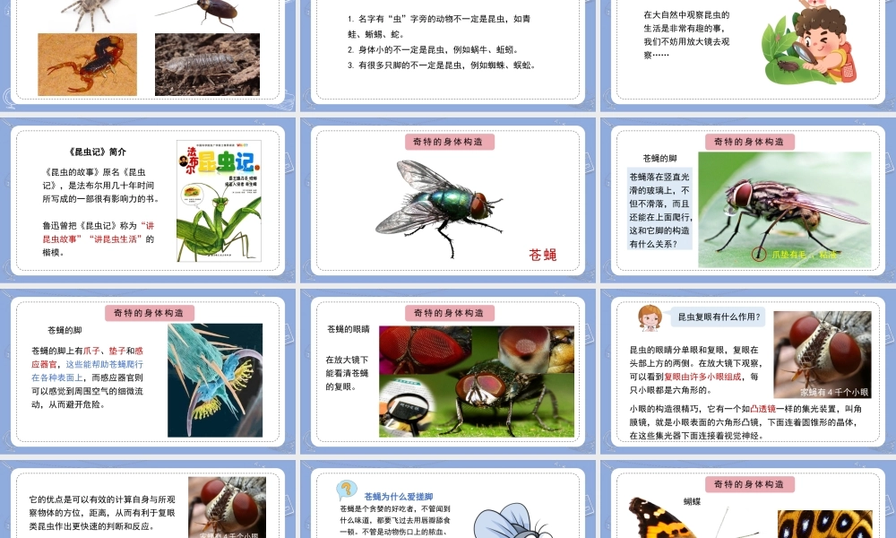 9.庞大的家族（公众号 小学科学网）.pptx