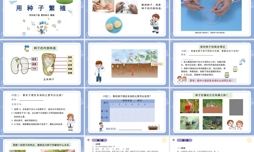 12.用种子繁殖（公众号 小学科学网）.pptx