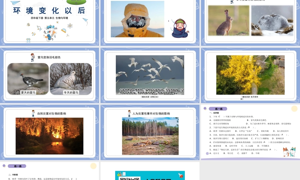 17.环境变化以后（公众号 小学科学网）.pptx