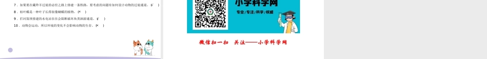 17.环境变化以后（公众号 小学科学网）.pptx