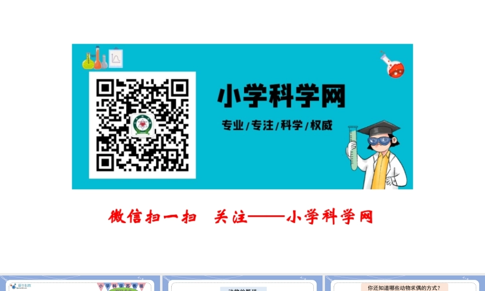 14.动物的繁殖（公众号 小学科学网）.pptx