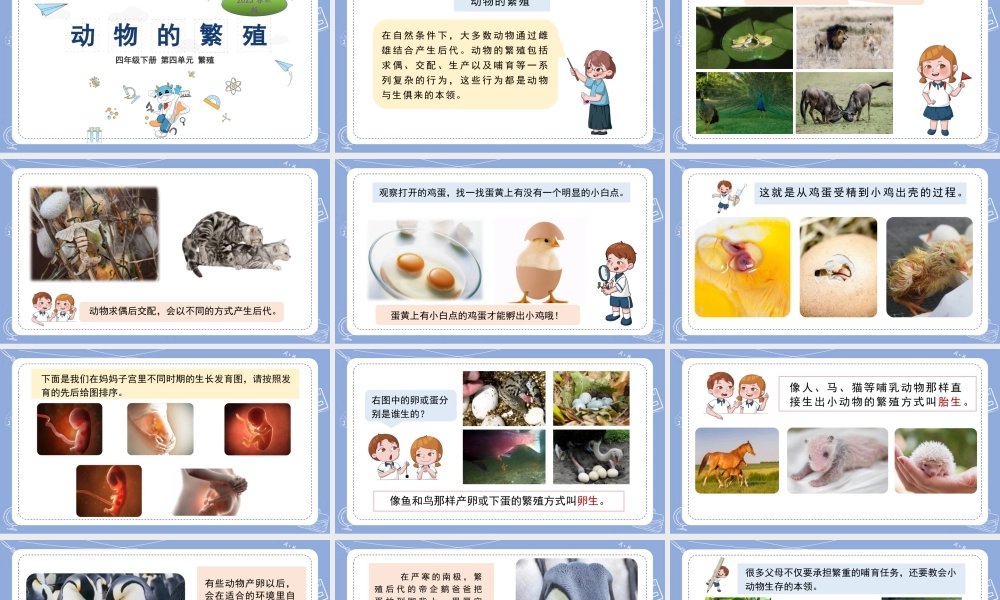 14.动物的繁殖（公众号 小学科学网）.pptx