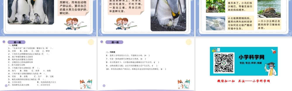 14.动物的繁殖（公众号 小学科学网）.pptx