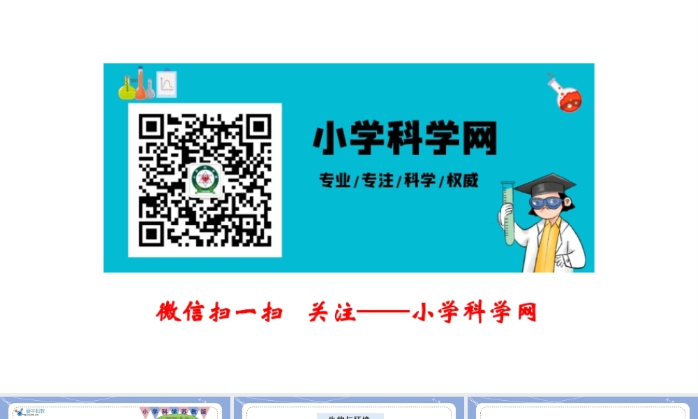 15.生物与非生物（公众号 小学科学网）.pptx