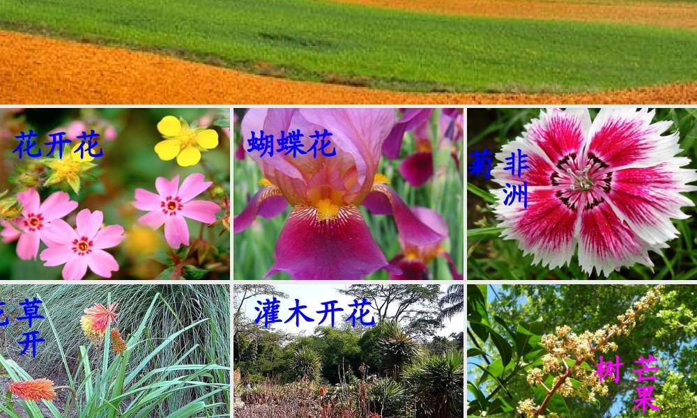 彩色的非洲.ppt.ppt