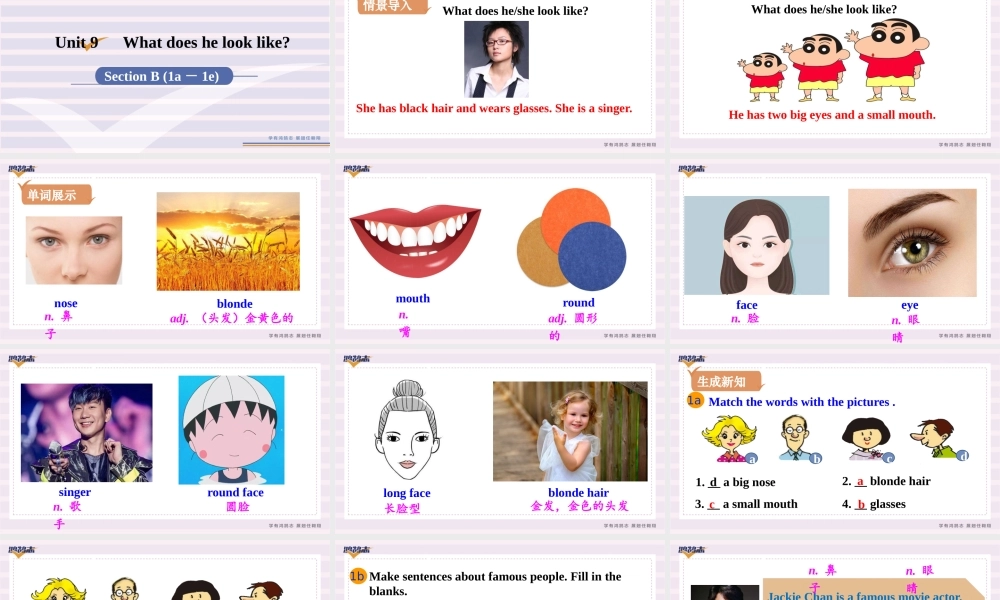 第4课时　Section B (1a－1e).pptx