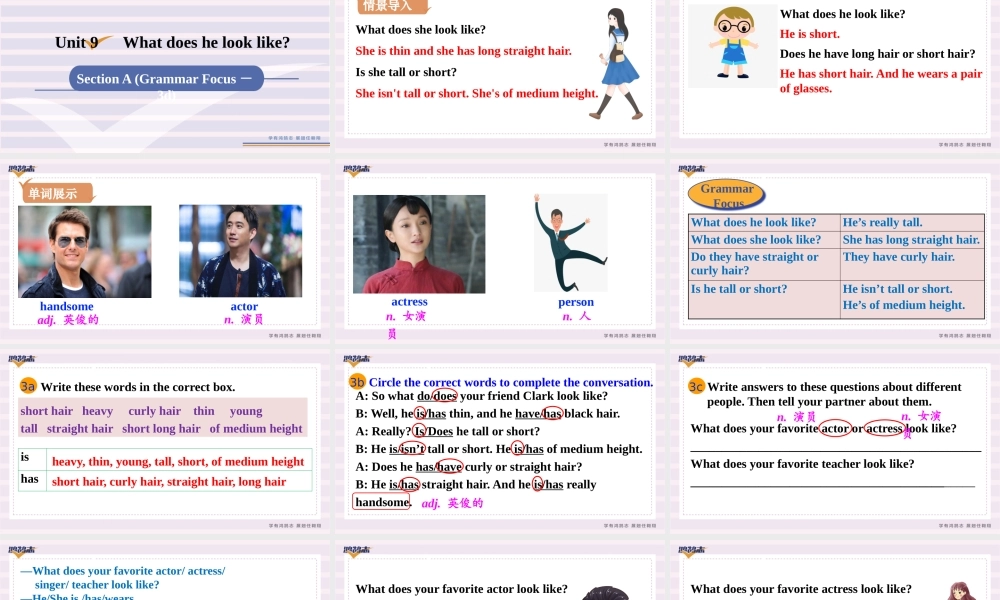 第3课时　Section A (Grammar Focus－3d).pptx