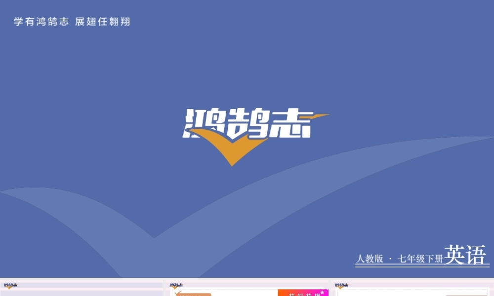 第3课时　Section A(Grammar Focus－3c).pptx