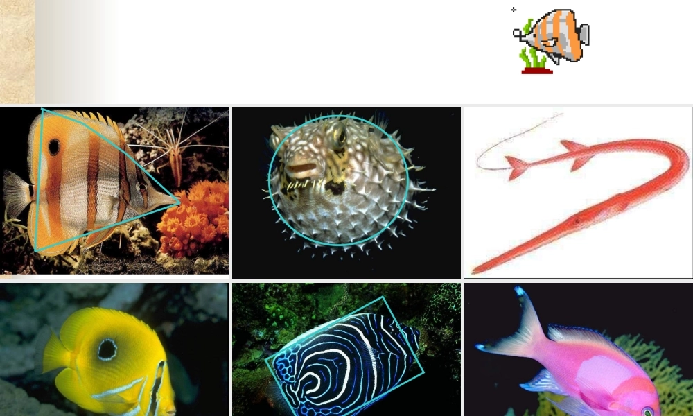 人教版小学美术一年级上册《第8课鱼儿游游》PPT课件 (3)【加微信公众号 jiaoxuewuyou 九折优惠 qq 1119139686】.ppt