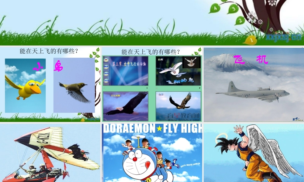 人教版小学美术一年级上册《第9课我在空中飞》PPT课件 (4)【加微信公众号 jiaoxuewuyou 九折优惠 qq 1119139686】.ppt