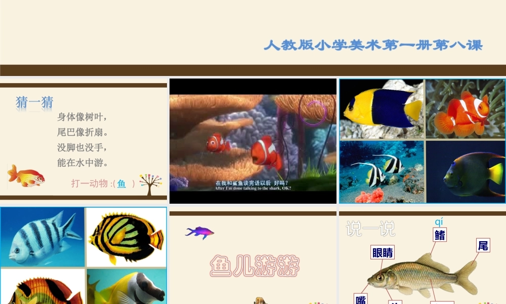 人教版小学美术一年级上册《第8课鱼儿游游》PPT课件 (2)【加微信公众号 jiaoxuewuyou 九折优惠 qq 1119139686】.ppt