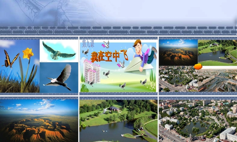 人教版小学美术一年级上册《第9课我在空中飞》PPT课件 (2)【加微信公众号 jiaoxuewuyou 九折优惠 qq 1119139686】.ppt