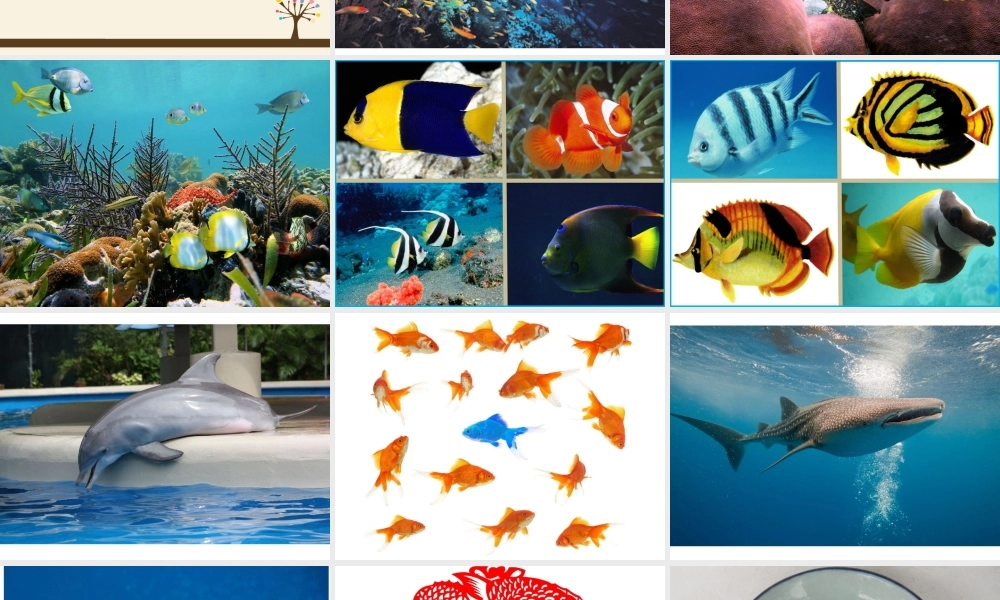 人教版小学美术一年级上册《第8课鱼儿游游》PPT课件 (7)【加微信公众号 jiaoxuewuyou 九折优惠 qq 1119139686】.ppt