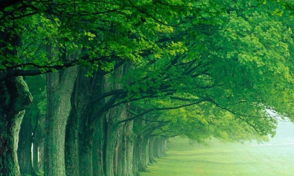 人教版小学美术一年级上册《第10课我的新朋友》PPT课件 (2)【加微信公众号 jiaoxuewuyou 九折优惠 qq 1119139686】.ppt