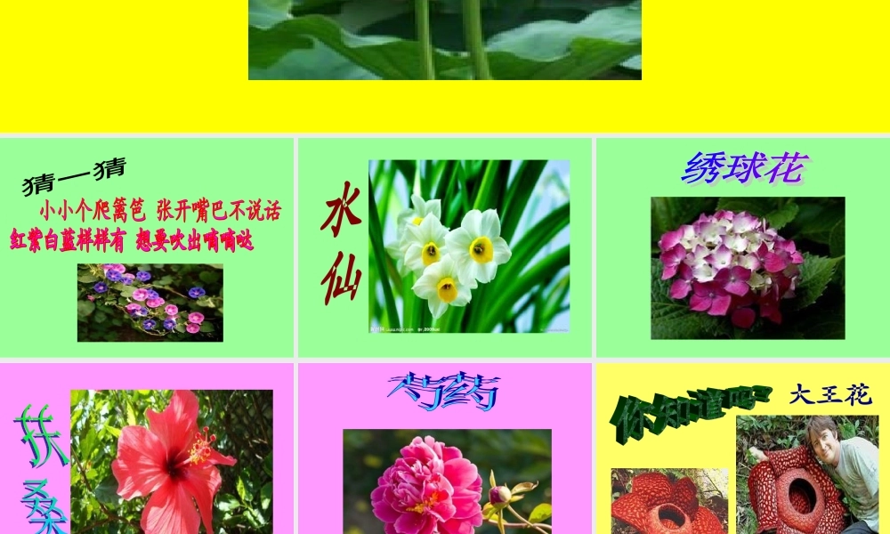 人教版小学美术一年级上册《第11课花儿寄深情》PPT课件 (3)【加微信公众号 jiaoxuewuyou 九折优惠 qq 1119139686】.ppt