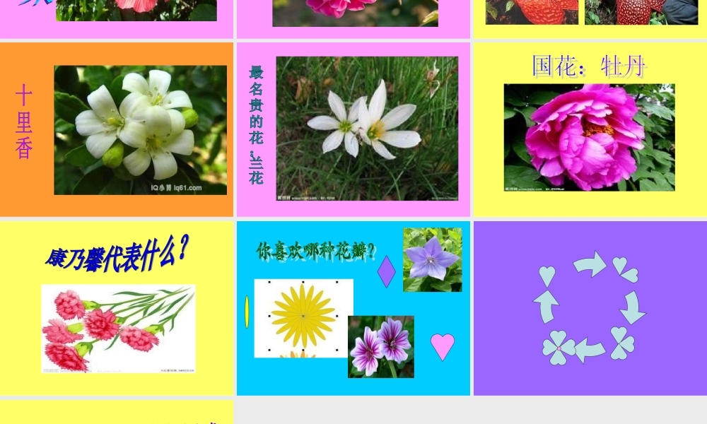 人教版小学美术一年级上册《第11课花儿寄深情》PPT课件 (3)【加微信公众号 jiaoxuewuyou 九折优惠 qq 1119139686】.ppt