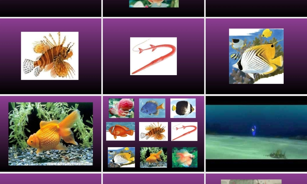 人教版小学美术一年级上册《第8课鱼儿游游》PPT课件 (4)【加微信公众号 jiaoxuewuyou 九折优惠 qq 1119139686】.ppt