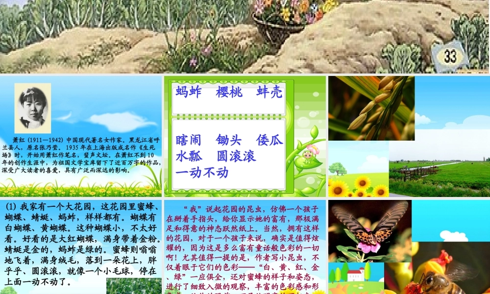 人教新课标五年级语文下册《祖父的园子 5》PPT课件.ppt