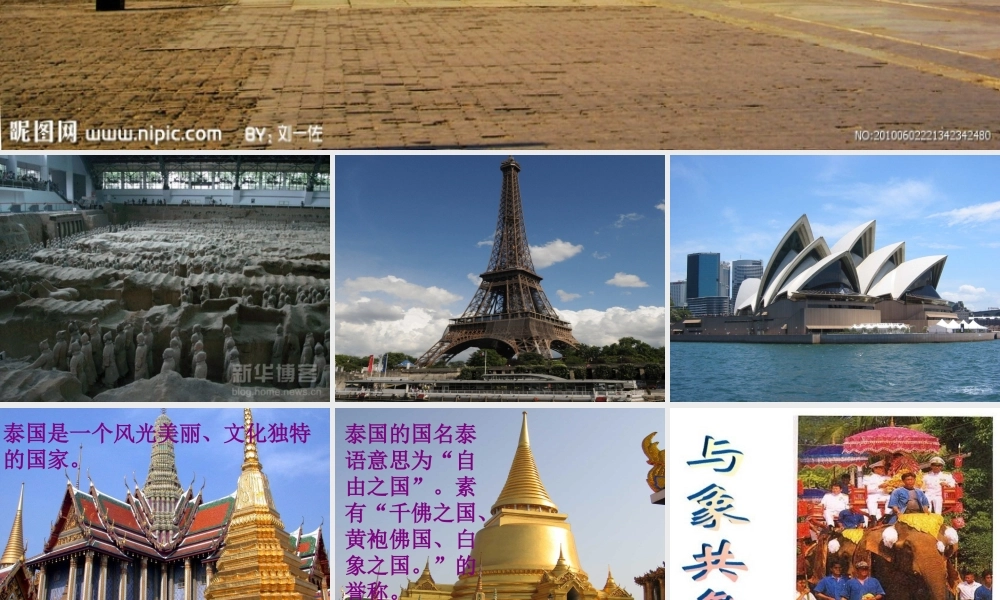 与象共舞课件.ppt