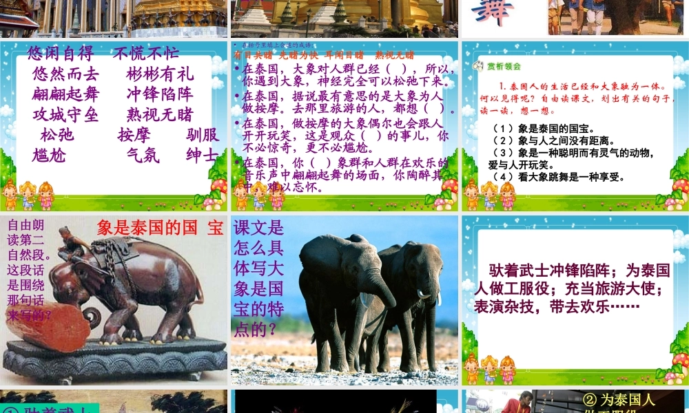 与象共舞课件.ppt