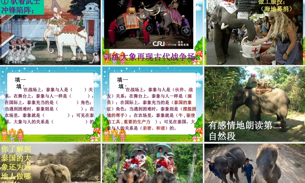 与象共舞课件.ppt