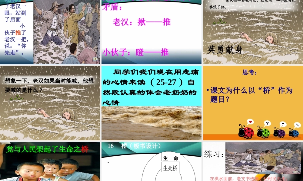 语文五年级下人教版16《桥》课件.ppt