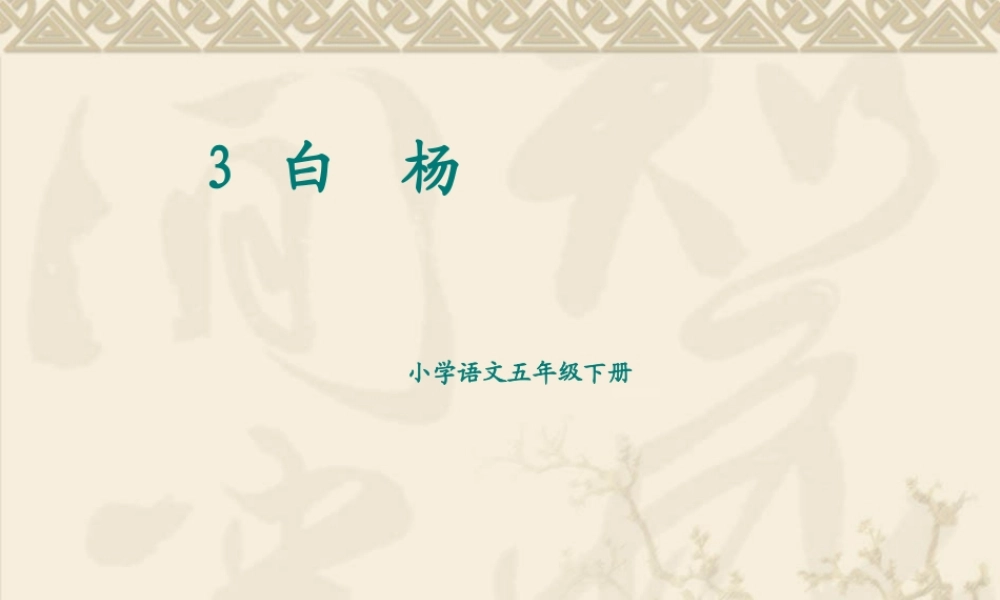 语文五年级下人教新课标1.3《白杨》课件3.ppt