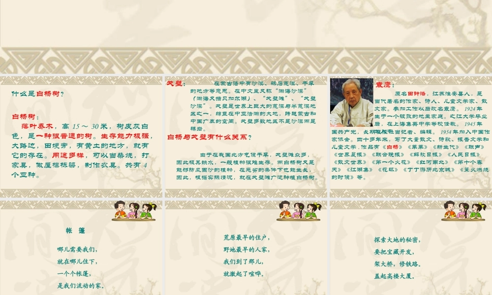 语文五年级下人教新课标1.3《白杨》课件3.ppt
