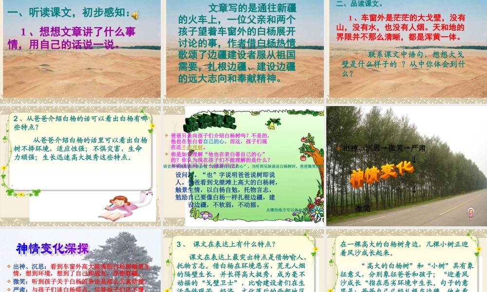 语文五年级下人教新课标1.3《白杨》课件3.ppt